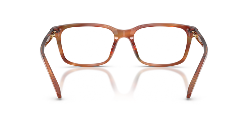 Michael Kors SEAL HARBOR in Brown Horn / Demo Lens (4039) - Temple Detail