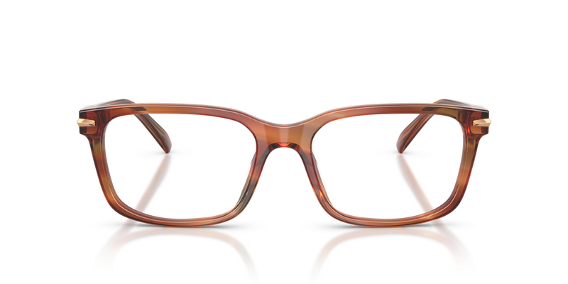 Michael Kors SEAL HARBOR in Brown Horn / Demo Lens (4039) - Alternate View