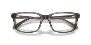 Charcoal Horn / Demo Lens (4047)