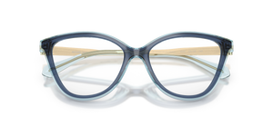 Navy / Demo Lens (4031)