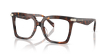 Luggage Tortoise / Demo Lens (4031)
