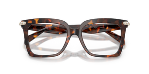 Luggage Tortoise / Demo Lens (4031)