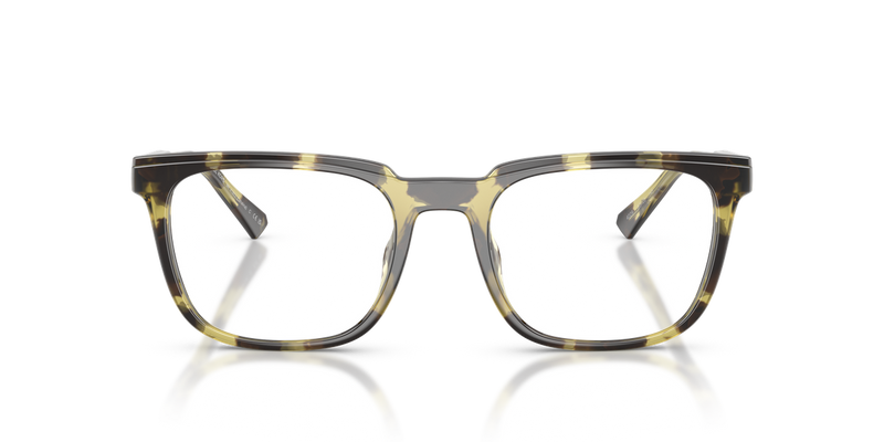 Michael Kors LAHAINA in Olive Tortoise / Demo Lens (4029) - Alternate View