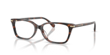 Mahogany Tortoise / Demo Lens (4039)