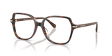 Mahogany Tortoise / Demo Lens (4039)