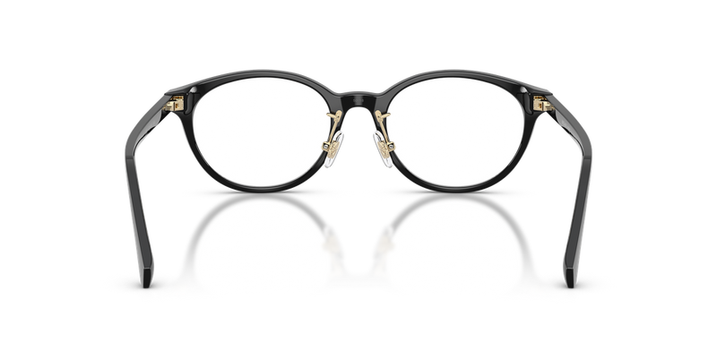 Michael Kors DARJEELING in Black (3005) - Temple Detail