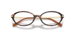 Luggage Tortoise / Demo Lens (4031)