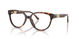 Luggage Tortoise / Demo Lens (4031)