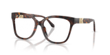 Luggage Tortoise / Demo Lens (4031)