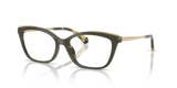 Olive / Demo Lens (3902)