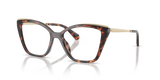 Luggage Tortoise / Demo Lens (4031)