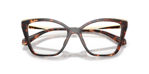 Luggage Tortoise / Demo Lens (4031)