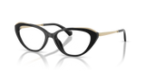 Black / Demo Lens (3005)