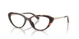 Luggage Tortoise / Demo Lens (4031)