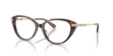 Luggage Tortoise / Demo Lens (4031)