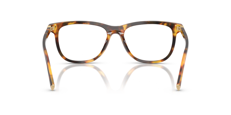 Miu Miu MU 01WVF in Honey Havana - Alternate View