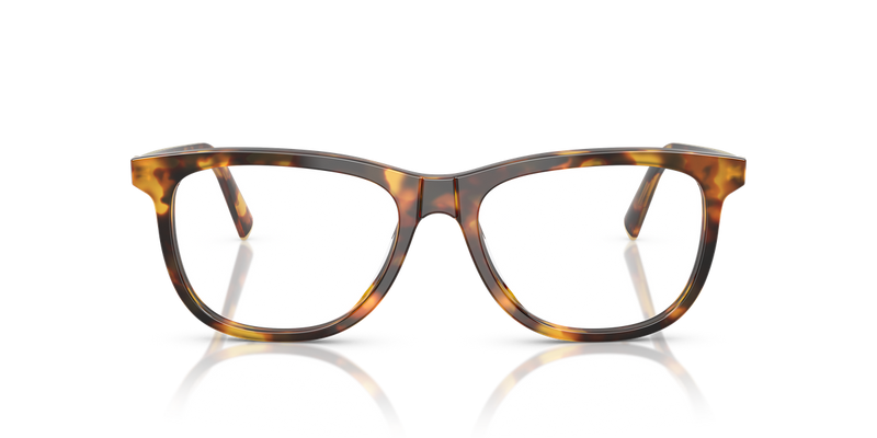 Miu Miu MU 01WVF in Honey Havana - Alternate View