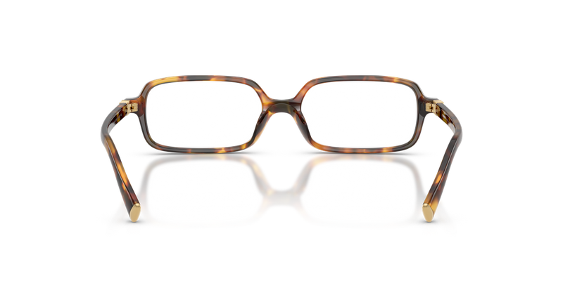 Miu Miu MU 01YV in Honey Havana - Alternate View