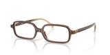 Brown Transparent / Demo Lens (23H1O1)