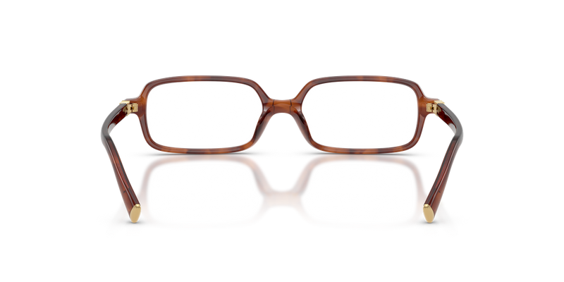Miu Miu MU 01YV in Striped Tobacco - Alternate View