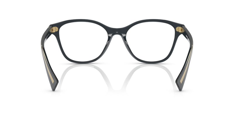 Miu Miu MU 02UV in Grey - Temple Detail