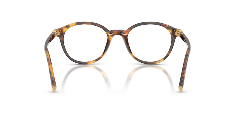Miu Miu MU 02WVF in Honey Havana - Temple Detail
