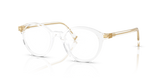 Transparent / Demo Lens (15Z1O1)