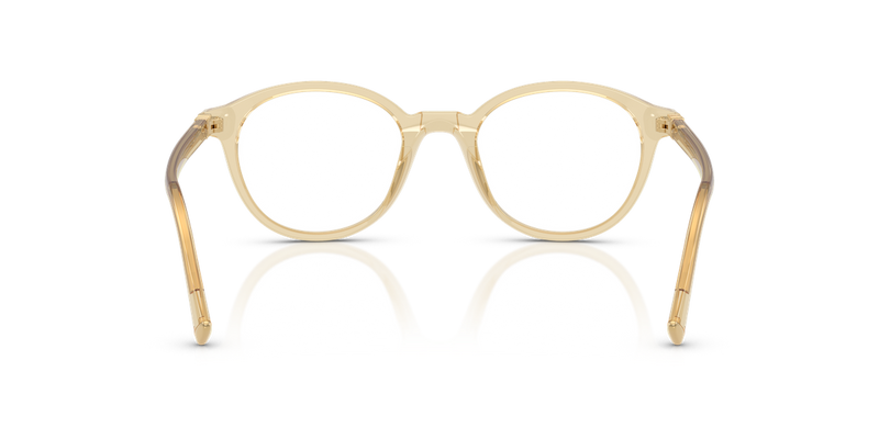 Miu Miu MU 02WV in Transparent Beige - Temple Detail