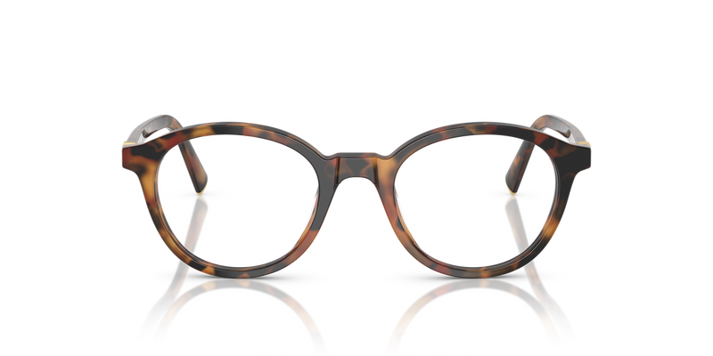 Miu Miu MU 02WV in Havana Ivy - Alternate View