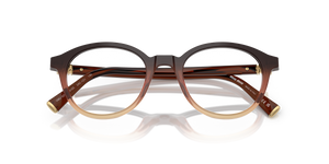 Brown Gradient / Demo Lens (24C1O1)