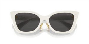 White / Dark Grey (1425S0)