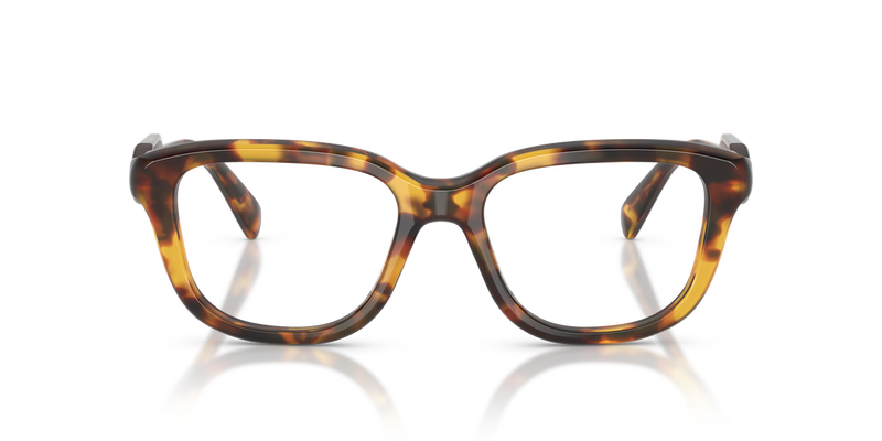 Miu Miu MU 02ZVF in Honey Havana - Alternate View