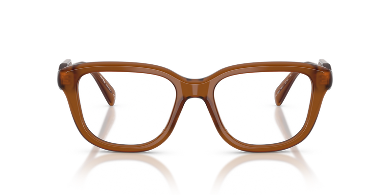Miu Miu MU 02ZVF in Opal Brown - Alternate View
