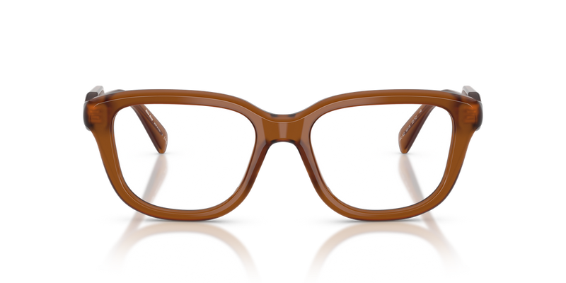 Miu Miu MU 02ZV in Opal Brown - Alternate View