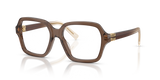Brown Transparent / Demo Lens (23H1O1)