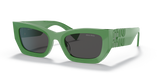 Green / Dark Grey (19C5S0)