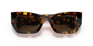 Honey Havana / Dark Brown (VAU06B)