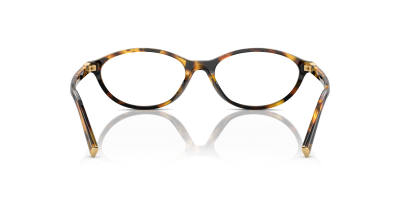 Miu Miu MU 09XVF in Honey Havana - Alternate View