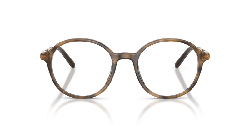 Miu Miu MU 10ZVU in Ebony Havana - Alternate View