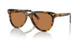 Havana Honey / Dark Brown (VAU01T)