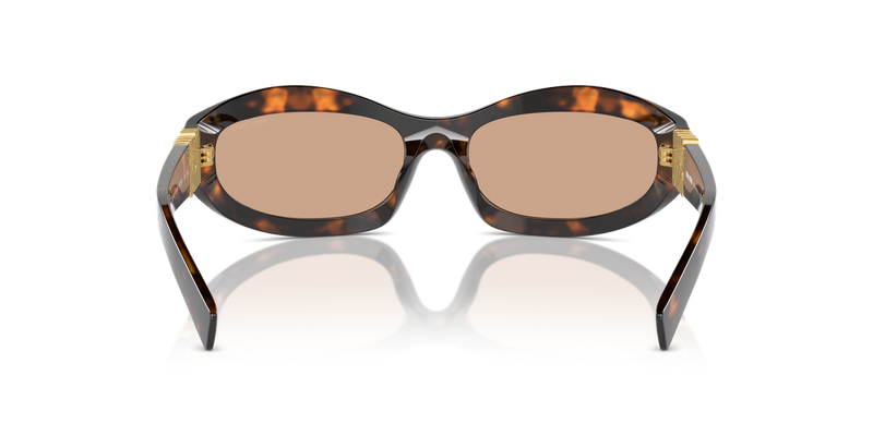 Miu Miu MU 14ZSF in Honey Havana - Alternate View