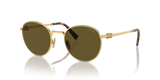 Gold / Dark Brown (5AK09Z)