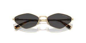 Pale Gold / Dark Grey (ZVN5S0)