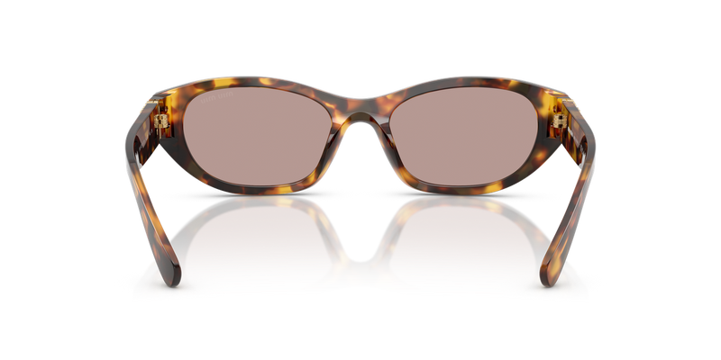 Miu Miu MU A03S in Honey Havana - Alternate View