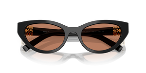 Black / Brown (16K10I)