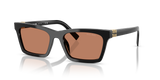 Black / Brown (16K10I)
