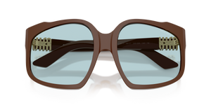 Chocolate / Light Blue (24D20R)