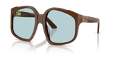 Chocolate / Light Blue (24D20R)