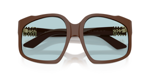 Chocolate / Light Blue (24D20R)