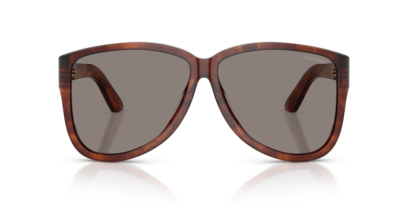 Miu Miu MU A08SF in Striped Tobacco - Alternate View